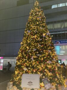 クリスマスイルミネーション巡り　福岡　博多駅～天神～六本松