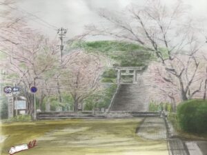 福岡 西公園の桜II 作品67